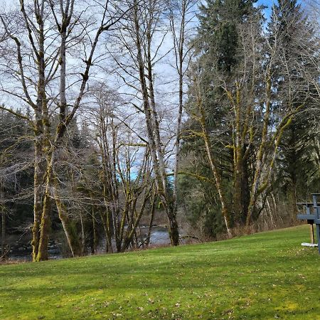 A Relaxing Getaway-A Backwoods Cabin Solduc River Beaver Exteriér fotografie