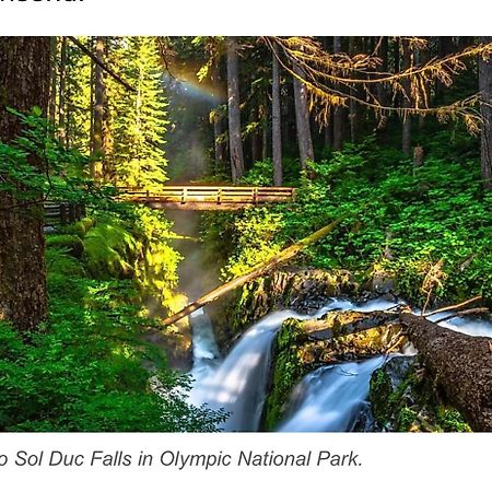 A Relaxing Getaway-A Backwoods Cabin Solduc River Beaver Exteriér fotografie