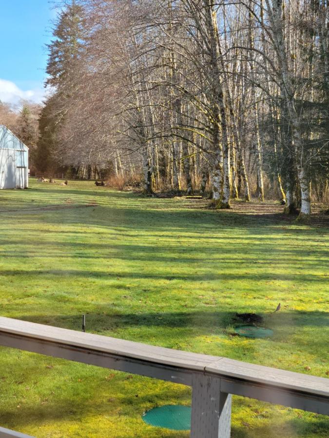 A Relaxing Getaway-A Backwoods Cabin Solduc River Beaver Exteriér fotografie