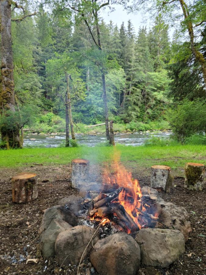 A Relaxing Getaway-A Backwoods Cabin Solduc River Beaver Exteriér fotografie