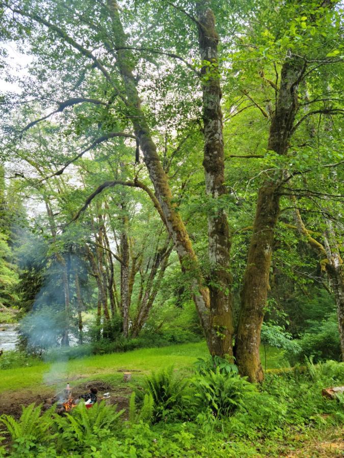 A Relaxing Getaway-A Backwoods Cabin Solduc River Beaver Exteriér fotografie